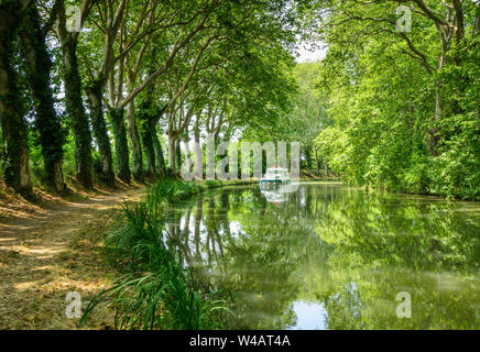 A pleasure boat cruising along the Canal du Midi, France, between the avenue of plane trees that line both sides of the canal Stock Photo