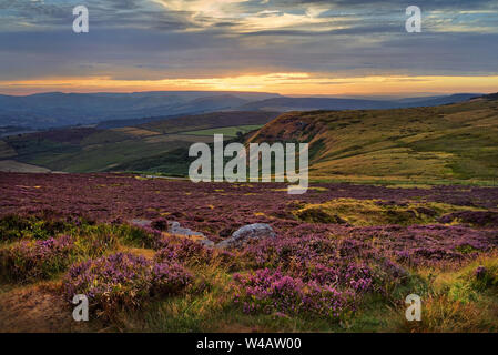 UK,South Yorkshire,Peak District,Near Sheffield, Sunset over the Hope Valley from Higger Tor with Heather in full bloom. Stock Photo