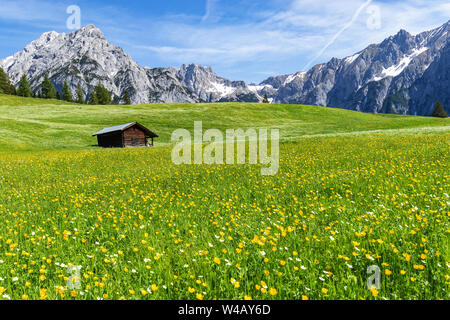 Amazing view of austrian alps and meadow near Walderalm, Austria, Gnadenwald, Tyrol Region Stock Photo