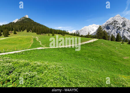 Road trough alps. Austria, Gnadenwald, Walderalm, Tyrol Region Stock Photo