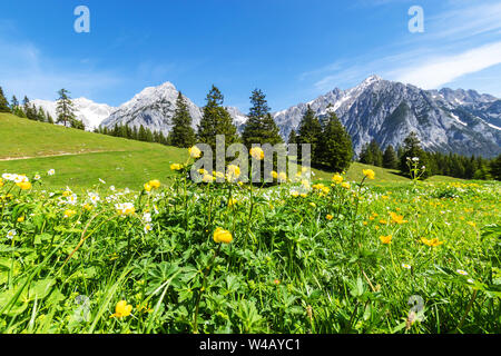 Alps view with yellow flowers. Summer mountain landscape Stock Photo