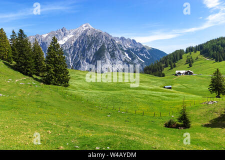 Summer mountains landscape in Alps. Austria, Gnadenwald, Tyrol Region Stock Photo