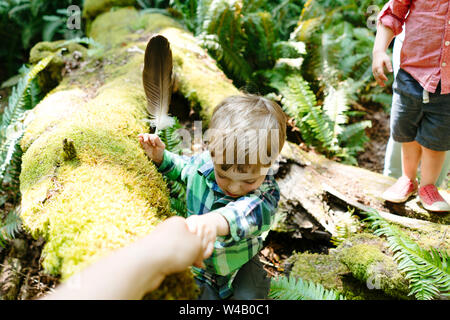 Cropped image of helping a young boy jump over a tree trunk Stock Photo
