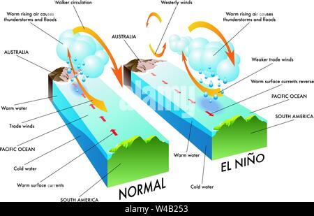 Scientific illustration of the causes and effects of a El Niño Stock Vector