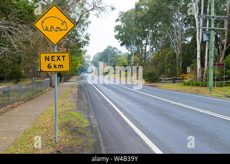 Kangaroo Valley, NSW, Australia-June 8, 2019: View over driving road and wombat yellow road sign in Kangaroo Valley, a charming village known for its Stock Photo