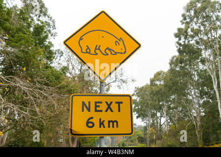 View over the traffic road and wombat yellow road sign in Australia Stock Photo