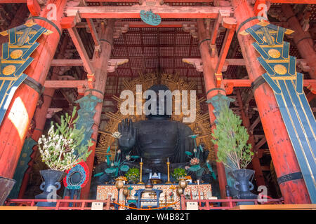 Nara, Japan - October 29 2018:  Todaiji Daibutsu is the largest seated Buddha in Japan, situated inside the main worship hall called Daibutsu-den in T Stock Photo