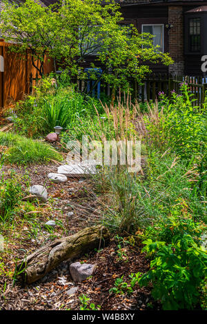 Native plant garden in the Rogers Park neighborhood Stock Photo