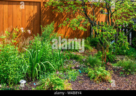 Native plant garden in the Rogers Park neighborhood Stock Photo