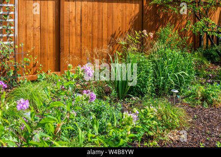 Native plant garden in the Rogers Park neighborhood Stock Photo