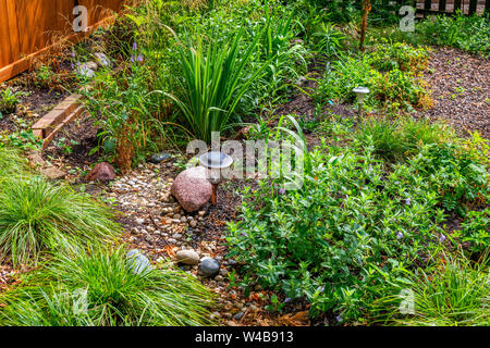 Native plant garden in the Rogers Park neighborhood Stock Photo