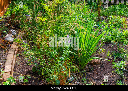 Native plant garden in the Rogers Park neighborhood Stock Photo