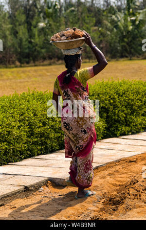 Indian woman performing tough manual labor clearing rocks, balancing on her head. Stock Photo