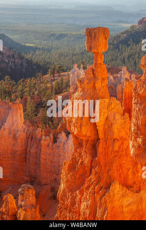 Morning light on Thor's Hammer, Bryce Canyon National Park, Utah Stock Photo