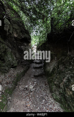 Narrow path between rocks and trees in Pale (Umbria, Italy) Stock Photo