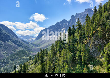 Dark coniferous taiga on mountainside in July. Valley Arzhan-Khem. Tuva. Central Asia Stock Photo