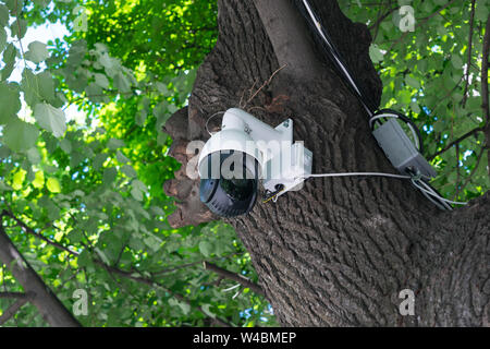 surveillance CCTV 360 camera mounted on a tree in the park Stock Photo