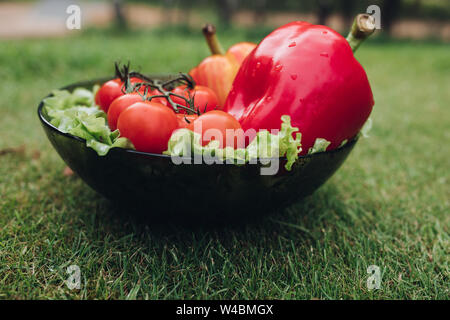 Closeup of vegetables lying on plate on grass Stock Photo