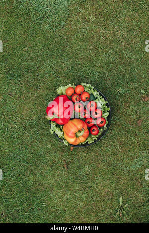 View from above of colorful vegetables on grass in garden Stock Photo