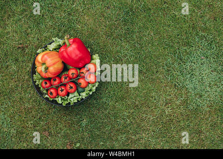 View from above of colorful vegetables on grass in garden Stock Photo