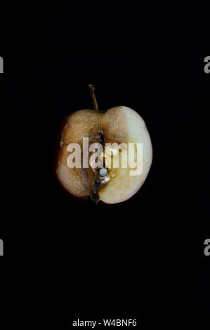 Apfel, die zwei Gesichter Stock Photo