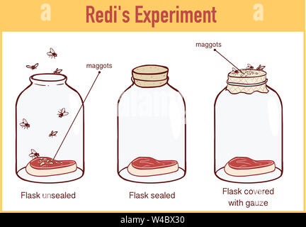 francesco redi experiment main idea