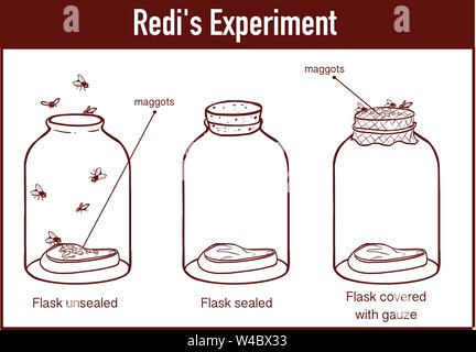 francesco redi experiment result