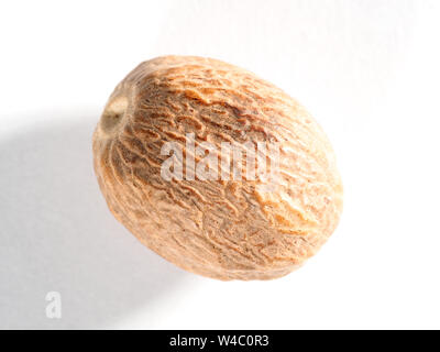 Nutmeg (Myristica fragrans) on a white background Stock Photo
