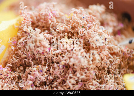 Color pencils shavings / Close up wood crayons shavings sharpener sawdust Stock Photo