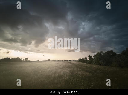 Evening landscape with field and forest edge at sunset. The sky is covered with dark storm clouds Stock Photo