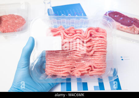 Plastic tray raw fresh ground meat in lab scientist hand. Laboratory meat quality analysis inspection check or cultured meat concept. Stock Photo