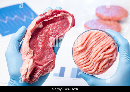 Steak and minced meat in Petri dish in scientist hands in laboratory. Quality inspection or cultured artificial lab meat concept. Stock Photo