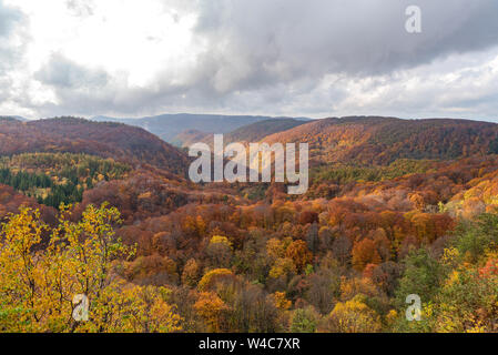 Autumn foliage scenery view, beautiful landscapes. Fall is full of magnificent colours. Entire mountain and valley is bathed in different hues of red, Stock Photo