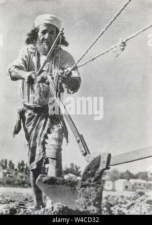 Oriental Jewish Pioneer (Chalutz) from Yemen, ploughs a field. Photographed in Palestine / Israel circa 1940 Stock Photo