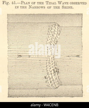 Plan of the tidal wave observed in the narrows of the Seine. France. SMALL 1886 Stock Photo