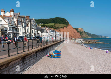 Sidmouth, Devon, England, UK.  Sidmouth a popular holiday resort in East Devon. Shingle beach looking towards the red cliffs of the Jurassic coastline Stock Photo