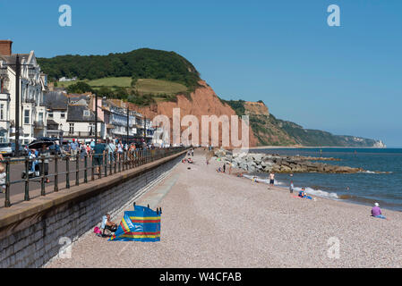Sidmouth, Devon, England, UK.  Sidmouth a popular holiday resort in East Devon. Shingle beach looking towards the red cliffs of the Jurassic coastline Stock Photo