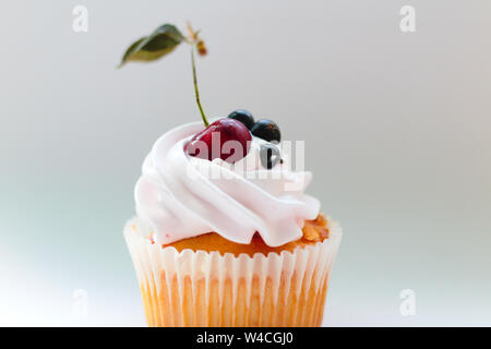 Isolated cupcake with cream, cherry with a leaf and black currant on a white background. Stock Photo