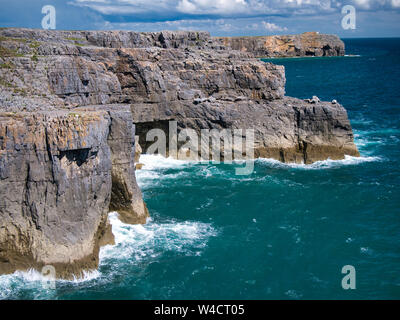 Coastal sandstone cliffs near Castlemartin and St Govan's Head  in Pembrokeshire, South Wales, UK, showing strata in the sedimentary rock. Stock Photo