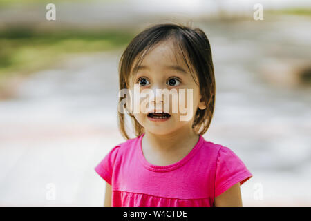 Outdoor Portrait of a cute Asian Little toddler Girl Stock Photo
