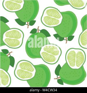 Fruit pomelo pattern on white background is insulated Stock Vector