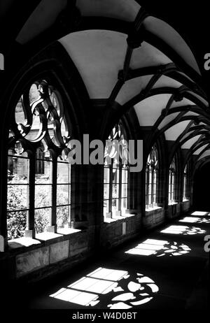 Shadows in Basel Minster, sunlight through the gothic windows, Swiss Stock Photo