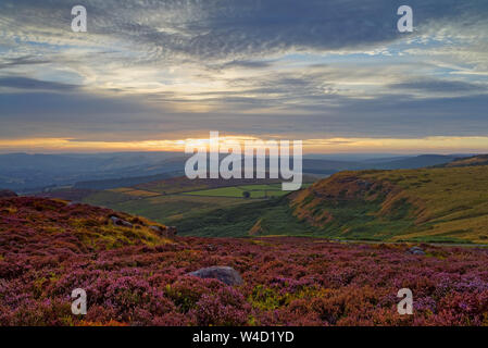 UK,South Yorkshire,Peak District,Near Sheffield, Sunset over the Hope Valley from Higger Tor with Heather in full bloom. Stock Photo