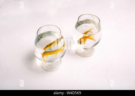 Separate glasses with goldfish. Two golden-colored fish swim in the water. Lonely fish in glasses on a white background. Aquarium fish. Separation Stock Photo