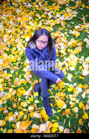 Asian teenage girl sitting among yellow Autumn leaves in the park when colors are changing in the Fall. Stock Photo