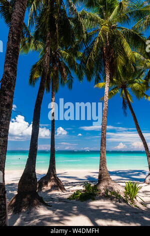 A beautiful tropical sandy beach surrounded by palm trees and warm ocean (White Beach, Boracay) Stock Photo