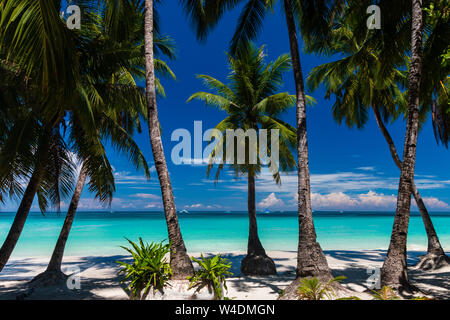 A beautiful tropical sandy beach surrounded by palm trees and warm ocean (White Beach, Boracay) Stock Photo