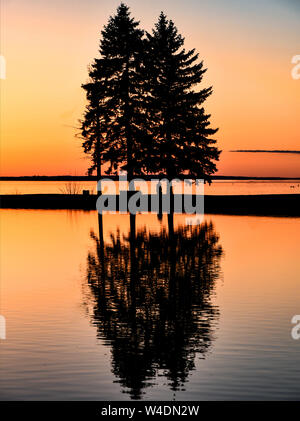 A silhouette reflection with trees in water in the forest Stock Photo ...