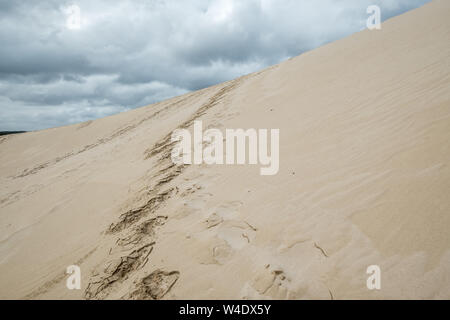 Zig-zag of footprints lead up steep sand dunes.  Wet and cloudy day on Kangaroo Island, South Australia Stock Photo