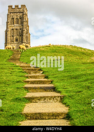 Glastonbury Tor and St Michael's Church Tower. Glastonbury, Somerset, England. Stock Photo